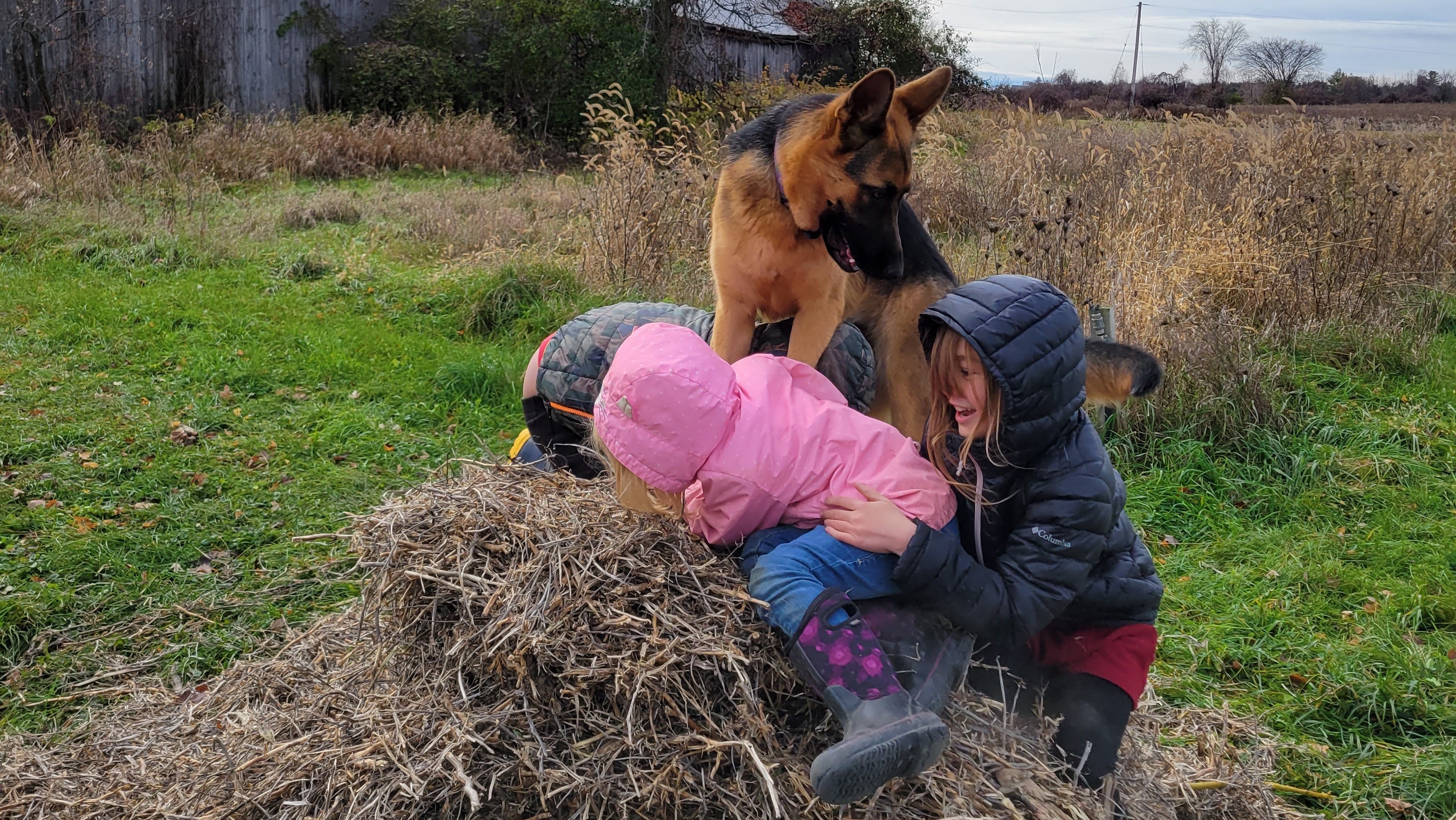Three kids and autumn the dog